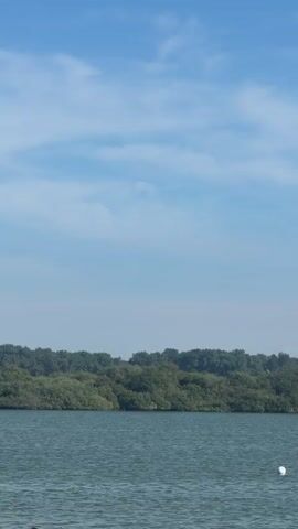 A wide shot of a body of water in front of a tree line with a blue sky above. There is a small white floaty object in the water on the right side of the screen.