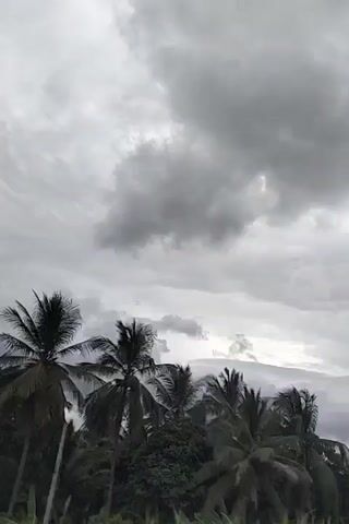 The video displays a dramatic, overcast sky dominated by thick, dark grey clouds moving rapidly, suggesting strong winds. Below the horizon, a dense line of trees is visible, including numerous palm trees swaying vigorously. Some trees have lush green foliage, while others appear more sparse. Distant mountains can be seen beneath the heavy cloud cover. The primary activity is the movement of clouds and trees, indicative of very windy weather. The time of day appears to be daytime, but the dense cloud cover makes it look dim, hinting at an impending storm or heavy rain. The presence of palm trees points to a tropical or subtropical location, consistent with Keureuweungkrueng, Indonesia. The audio features prominent sounds of strong wind. No text is visible in the video.