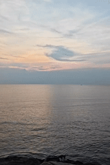 White cat rests on rocks during sunset in Lhokseumawe