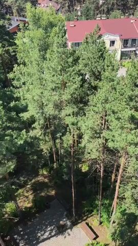An aerial shot looks down on a cluster of pine trees and a yellow building with a red roof. The camera pans upwards to reveal a distant landscape of smaller houses and fields under a blue sky with white clouds.