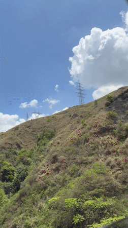 Caracas cable car system documented during afternoon operation
