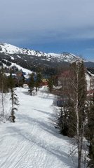 Winter outdoor activities documented across multiple locations April 8