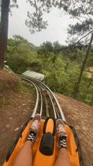 Alpine coaster ride and garden stroll in Da Lat