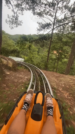 Alpine coaster ride and garden stroll in Da Lat