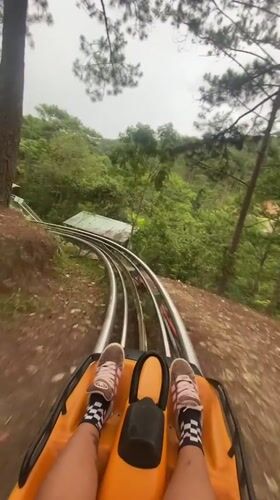 Alpine coaster ride and garden stroll in Da Lat