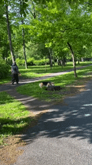 Morning scenes documented across Saint Petersburg parks and streets