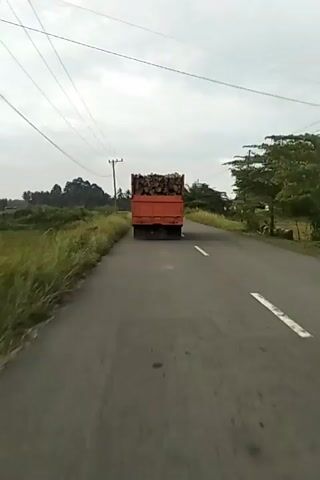 The video shows a rear view of a red truck filled with logs driving on a paved road. Two motorcycles are following behind the truck. The road is bordered by grass and trees on both sides. Power lines are visible overhead. The sky is overcast.
