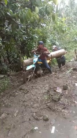 The video shows a man riding a blue and yellow motorcycle on a muddy path in a forest. Another man is pushing the back of a large log strapped to the back of the motorcycle. The motorcycle is struggling to move through the mud. The rider is wearing a burgundy shirt, jeans, and a baseball cap. The man pushing the log is wearing a light-colored shirt, dark pants, and a white hat. The surrounding environment is lush and green with dense trees and vegetation.