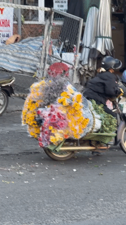Daily street life and flower commerce in Da Lat, Vietnam