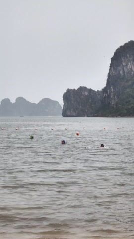 The video shows several people swimming in a bay.  They are wearing swimming caps and appear to be within a designated swimming area marked by orange buoys.  In the background are rock formations covered with vegetation. The sky is overcast and gray.
