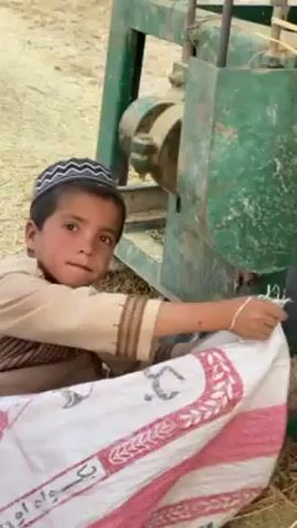 The video captures a young boy participating in agricultural activity in an outdoor, rural setting, identified as 'Alaqadari Daman, Afghanistan. The boy, appearing to be between 5 and 8 years old, wears a light brown traditional outfit with embroidered cuffs and a black and white patterned Kufi cap. His face shows some dirt smudges, and his expression is focused or serious.

He is positioned in front of a large, green industrial machine, likely a thresher or feed chopper, which features visible gears or rollers. The ground around him is covered with dry straw or hay, indicating a harvesting or feed preparation context. The boy is actively holding open a large, white woven sack adorned with red patterns, including what appear to be stylized wheat stalks, and black Farsi/Dari script. Partially visible text on the bag includes characters resembling "بکسواه" (Baqswah). He is holding the sack in a manner ready to collect material being processed by the machinery.

The scene is brightly lit, suggesting daytime with clear weather. The activity depicts a child involved in agricultural labor, assisting with farm machinery.