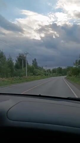 The video shows a view from inside a car as it travels down a paved road. The sky is cloudy with patches of blue sky visible. On the right side of the road, there are trees and dense green foliage. On the left side of the road, there is a field of yellow flowers and more trees. The camera is focused on the road and the scenery passing by, with the dashboard and a side mirror visible in the foreground.