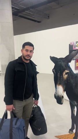 A man stands next to a life-size cardboard cutout of a donkey. He is holding two duffel bags. He wears a black jacket, a black shirt, and khaki pants. He looks at the donkey cutout, then smiles at the camera. The background includes a concrete pillar, white walls, and a magazine rack. The floor is tiled. There are visible ceiling fixtures.