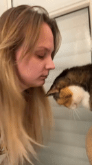 Woman interacts with cat during quiet Tel Aviv afternoon