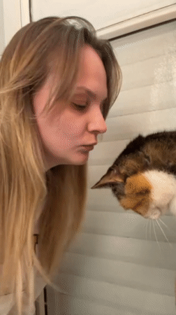 Woman interacts with cat during quiet Tel Aviv afternoon