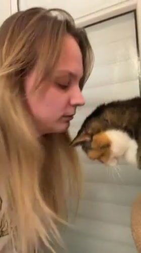 Woman interacts with cat during quiet Tel Aviv afternoon