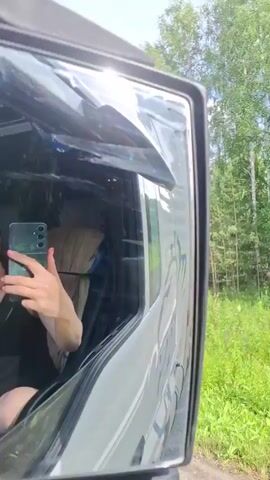 A video captured from a moving vehicle shows a roadside view of a forest with lush green foliage. The trees are a mix of birch and pine, with tall, slender birch trees in the background and shorter, denser pine trees in the foreground. The undergrowth consists of tall grass and some smaller flowering plants. The sky is partially cloudy with the sun shining brightly, casting a warm glow. A road sign is visible on the right side of the screen, partially obscured by the greenery. The video appears to be filmed during the daytime on a clear, sunny day.