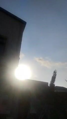 The video shows a series of still images that appear to be from a security camera. The first image is a bright shot of the sun, partially obscured by a building on the left side of the frame. The following images show a row of tall, dark green trees silhouetted against a bright sky. The sky is clear and blue in the last image. There are no people visible in any of the images, and no actions are depicted. The environment appears to be outdoors, possibly a backyard or a residential area.