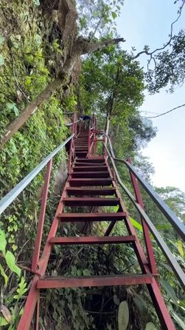 A person wearing a blue shirt and dark shorts climbs a steep, narrow metal staircase painted red. The staircase is attached to a moss-covered cliff face, with lush green vegetation and trees growing around it. The person is ascending the stairs, holding onto the metal railings on either side. The sky above is a clear blue.