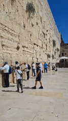 Afternoon activity at the Western Wall plaza, Jerusalem