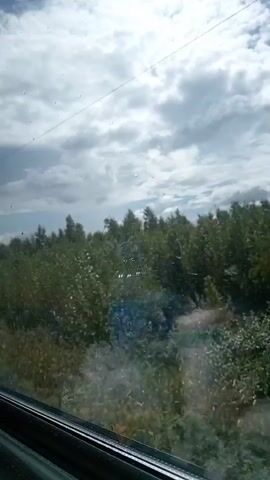 The video captures a view from inside a vehicle, looking out a window at a dense forest. The sky is overcast with dramatic clouds. A power line or similar infrastructure element is visible against the sky in the upper left portion of the frame. The lower part of the frame shows the interior window frame and sill. There are some smudges or water spots on the glass, obscuring parts of the view. The trees appear to be a mix of deciduous and coniferous, with lush green foliage. The overall impression is of a journey through a rural or natural landscape.
