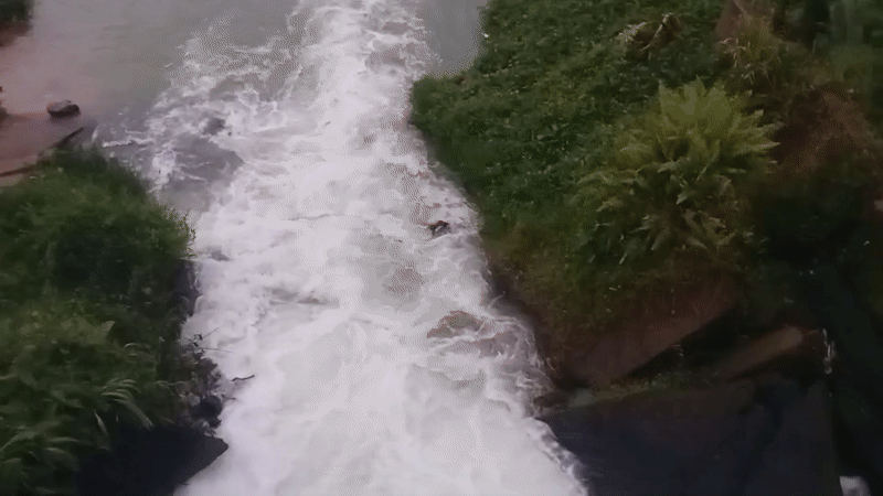Rushing waterway documented in Ihiagwa, Nigeria amid lush vegetation