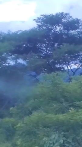 The video shows a landscape view of mountainous terrain covered with green trees and vegetation under a cloudy sky.  The hills or mountains are visible in the background and are covered with trees. The foreground is filled with a thick canopy of green foliage. Some music is playing.