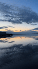 Waterfront moments: cat encounters, selfies, sunset reflections captured