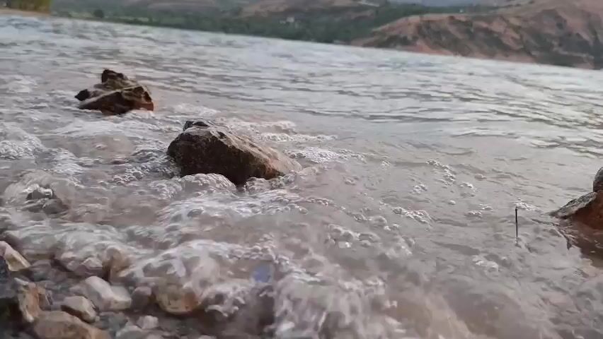 The video shows a close-up, low-angle view of the shore of a body of water. Rocks are submerged in the shallow water along the shoreline. The water is rippling and there are small bubbles visible. In the background, there is a large body of water with gentle waves. Beyond the water, there are rolling hills covered in sparse vegetation and trees. The sky appears overcast. The video is stable and appears to be filmed with a handheld camera.