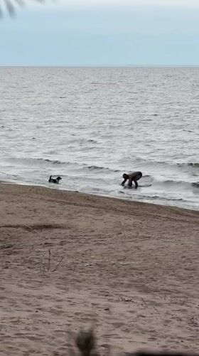 Beach camping morning at Zelenaya Roshcha, Gulf of Finland