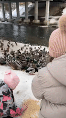 Daily life moments captured across Klin, Russia on winter afternoon