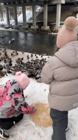 Daily life moments captured across Klin, Russia on winter afternoon