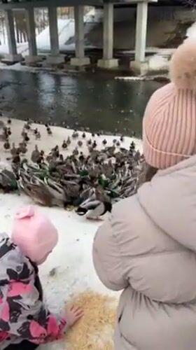 Daily life moments captured across Klin, Russia on winter afternoon