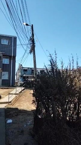 The camera pans across a hill that was recently burned, showing debris and charred remains of trees and vegetation. In the distance, the ocean and city skyline can be seen on a clear, sunny day. There is also debris on the ground, including lumber, black trash bags, and other materials.