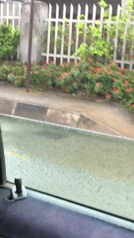 A person walks under an orange umbrella in the rain, carrying a folded umbrella and a patterned scarf. They are wearing a light pink skirt and sandals. In the background, there are white fences, lush green bushes with red flowers, and a stone structure. The ground is wet and reflective, with water on the road. The video is shot from inside a vehicle, with water droplets visible on the window. The scene appears to be a street or sidewalk on a rainy day.