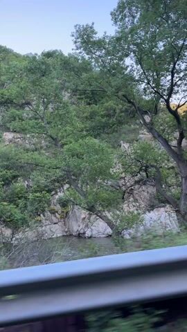 The camera captures a view from a moving vehicle, likely a car, traveling alongside a road in a mountainous, wooded area. A gray guardrail is visible at the bottom of the frame, closest to the camera. The landscape features dense green foliage with trees obscuring a rocky hillside. As the vehicle moves, the camera pans upwards revealing a rocky peak illuminated by sunlight. Overhead power lines run across the clear blue sky. A lattice-style metal utility pole is also visible, standing among the trees.