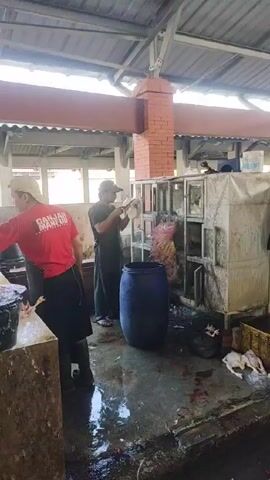 Two men are processing chickens in a large, open-air market. The floor is wet and stained, with loose feathers and chicken parts visible.  The man on the left, wearing a red t-shirt, a tan cap, a black apron, and dark boots, is working at a stone cutting block, presumably butchering the chickens.  The man on the right, wearing a dark shirt, a cap, and flip-flops, is holding a chicken.  Behind them is a cage with more chickens, a full pink plastic bag, and a large blue plastic barrel. The building has a corrugated metal roof and a brick support pillar.