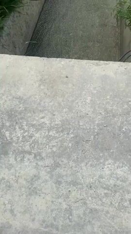The video begins with a close-up view of a concrete structure, possibly a drainage channel, filled with murky water and debris, including plastic bags and what appear to be pieces of cardboard. Green grass grows along the edges of the channel. The camera then pans up and to the right, revealing a dramatic landscape of steep, verdant valleys and rugged mountains under a cloudy sky. In the foreground, the concrete structure continues, now containing the same debris. The perspective shifts to show a wider view of the valley and the dramatic cliff faces. Further on, the camera focuses on a metal pole with electrical boxes and wires, surrounded by tall green grass. Finally, the video pans across a village situated on a plateau overlooking the canyon, with houses and buildings visible. A stone pathway winds through the grassy area in the foreground, leading towards the village and the edge of the canyon. The sky is partly cloudy with patches of blue visible.