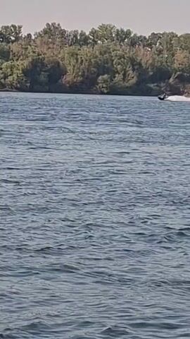 A jet ski is being ridden across the surface of a body of water. The water is choppy and the sky is overcast. In the background, there is a tree-lined shore.