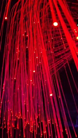 This is a close-up, vertical video showing a dense cluster of thin, red fiber optic strands that are illuminated from within. The strands hang downwards, creating a curtain-like effect. Small, bright red lights are visible at various points along the strands, and some appear to be at the tips, giving the impression of glowing fireflies or falling embers. The background is dark, with hints of purple light at the bottom, suggesting the installation is in a dimly lit environment, possibly an art exhibit or a decorative display. The video shows subtle movement, with the strands swaying slightly. There are no people or animals visible.