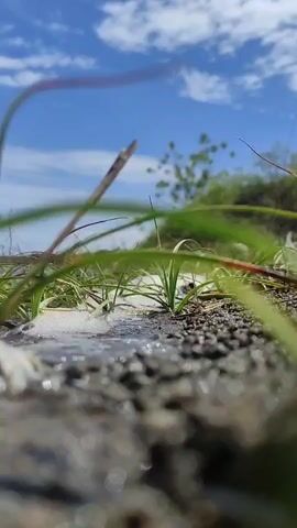 A low-angle close-up shot of a small stream of water with some bubbles flowing over a rocky surface with green grass and some dry grass blades on either side. In the background, there is a clear blue sky with some white clouds and green trees or bushes. The overall scene suggests a bright, sunny day.