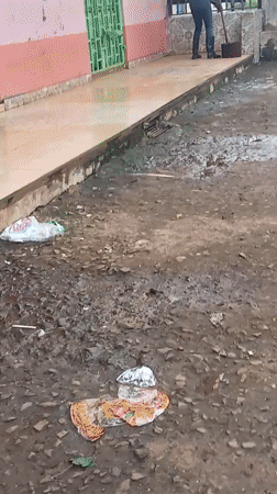 Person with object observed near sidewalk in Maua