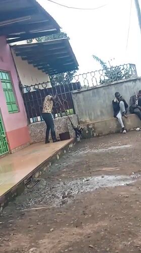 Person with object observed near sidewalk in Maua