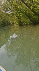 Blue boat travels peaceful river near Petrevene, Bulgaria