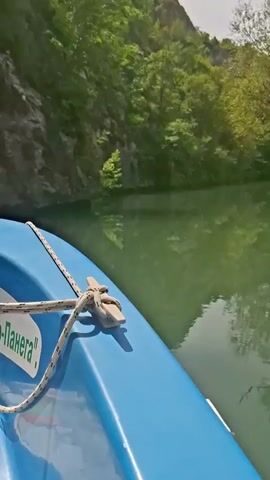 The video shows a boat gliding along a river surrounded by lush green trees. The camera focuses primarily on the water and the side of the blue boat, occasionally panning to showcase the tree-covered banks. The water has a slightly murky, green hue, reflecting the surrounding foliage. The boat seems to be moving at a leisurely pace, offering a tranquil view of the natural environment.