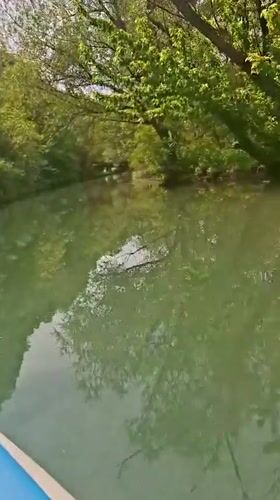 Blue boat travels peaceful river near Petrevene, Bulgaria
