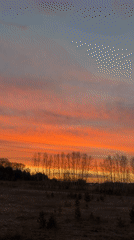 Vibrant sunset captured on video in Krasnoyarsk, Russia
