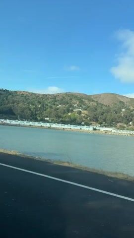 This media file captures a scenic view of a body of water bordered by a hilly, vegetated landscape under a bright blue sky dotted with white clouds. The foreground shows a paved road with a white line marking its edge, suggesting the viewpoint is from a moving vehicle. The water appears calm and reflects the sky.

Across the water, a low-lying structure with a white roof and light-colored walls stretches along the shoreline, possibly an industrial or commercial building. Behind this, the hills rise, covered in a mix of trees and sparse vegetation. Scattered houses or buildings are visible on the slopes of the hills, indicating a residential area. The overall scene suggests a daytime setting, likely late morning or early afternoon, given the clear sky and sunlight. The weather appears pleasant, with a gentle breeze suggested by the light clouds.

There are no people or specific objects that stand out, but the focus is on the natural landscape and the contrast between the developed shoreline and the natural hills. The location is identified as Brisbane, United States of America. The overall mood evoked is one of tranquility and natural beauty. No visible text is present in the media file.
