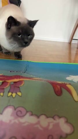 A light-colored Siamese cat is the focus of a short video. It is sitting on a hardwood floor, poised above a colorful children’s playmat that has a red dragon, pink clouds, and a blue sky printed on it. The cat looks directly at the camera, then leans forward and licks the surface of the mat. A tote bag is visible in the background.