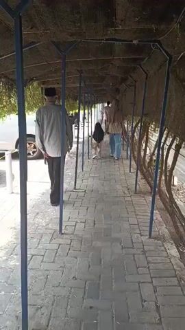 The video shows a walkway with a brick-paved path and a canopy overhead supported by blue poles. Several people are walking away from the camera down the walkway. A man wearing a grey shirt and a black skullcap is in the foreground on the left. Further down the path, a woman in a headscarf and a child are walking together, followed by another person in a headscarf. The walkway is lined with vegetation and what appears to be a fence or corrugated metal structure on the right side. A white car is visible on the left, partially obscured by the canopy. The overall environment appears to be outdoors.